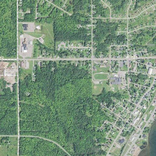 Loose dog running through yards on South Superior