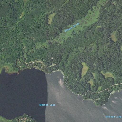 Unattended campfire with flames at Mitchell Lake road