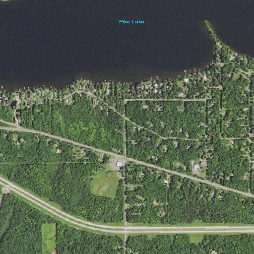 Loose dogs creating hazard on Highway 53