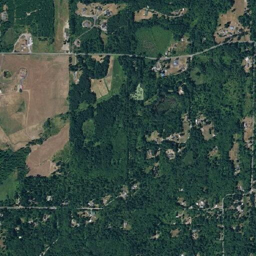 Basic life support response near Tenino