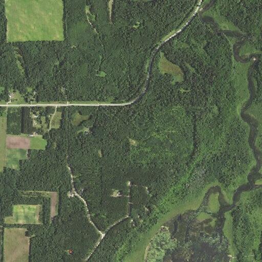 Stroke Emergency at Crow Wing Lake Township