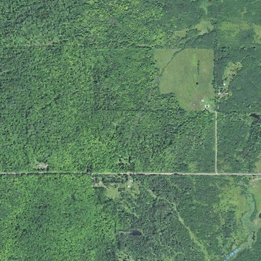 Man bitten and kicked by donkey near Aspen Drive in Pelkie