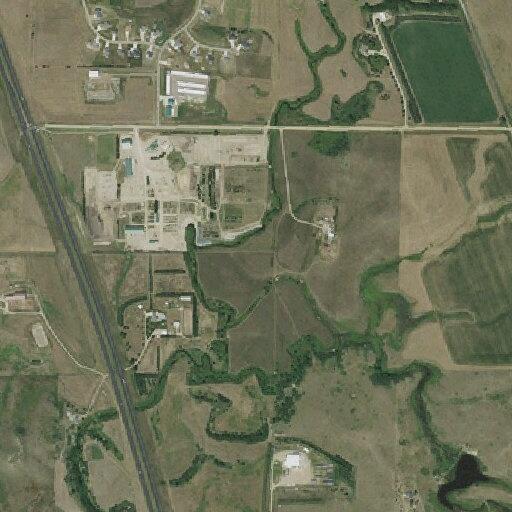 Calf reported on roadside along Highway 83