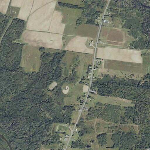 Car and deer collision on Van Buren Road