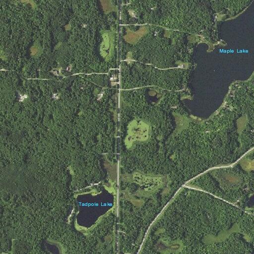 Man passes out near Tadpole Lake Trail in Longville