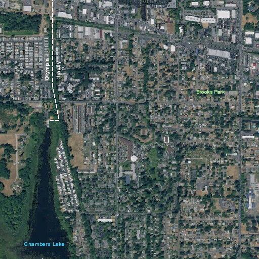 Woman regains breathing after emergency CPR in Lacey