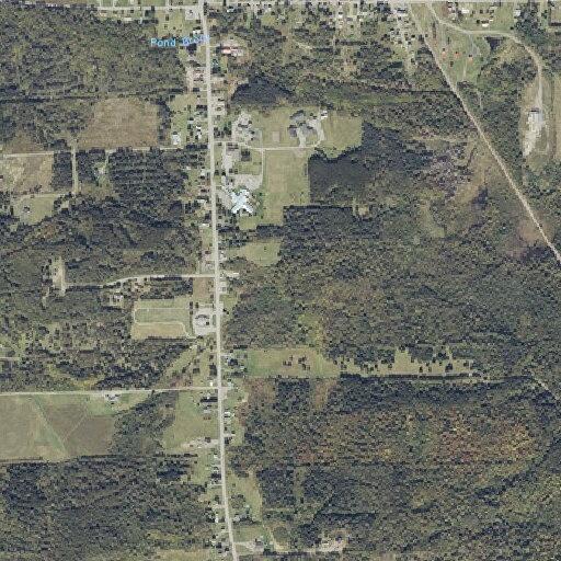 Man reported trying to drown dog at Eagle Lake