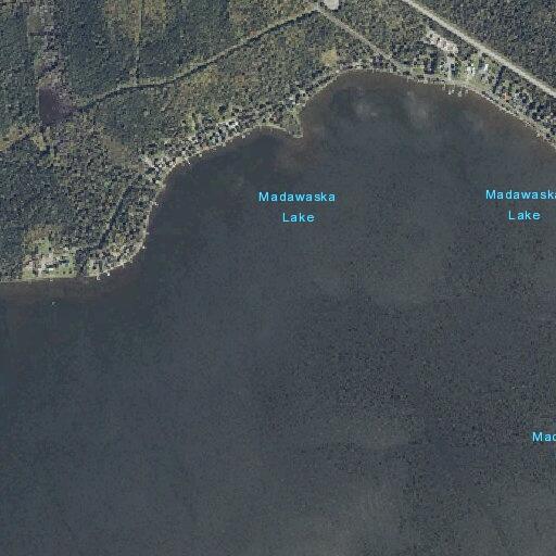 Road hazard caused by moose near Madawaska Lake
