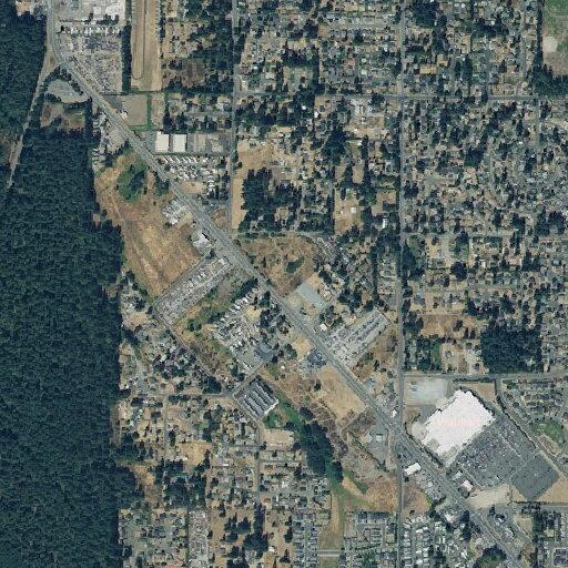 Person hallucinating at address in Spanaway