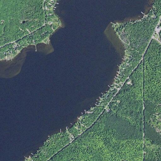 Man possibly unconscious near Bootjack Road in Torch Lake Township