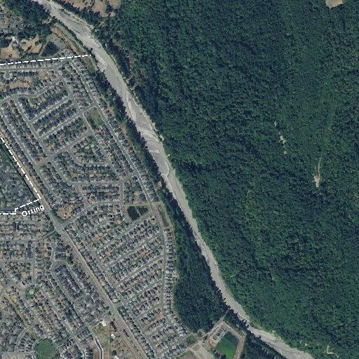 Person possibly suicidal after going to river by home