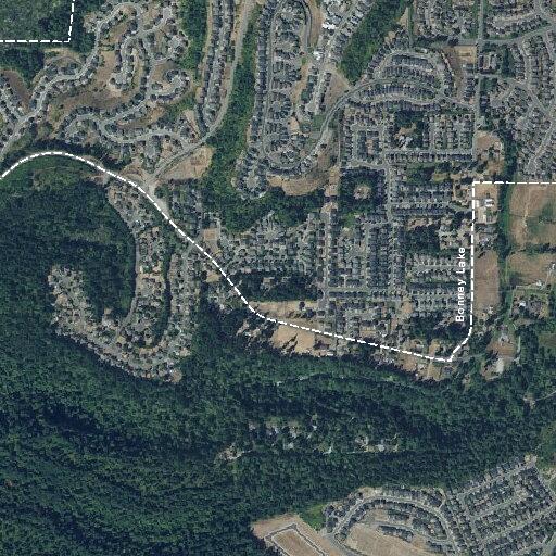 Person found hanging in suicide attempt in Bonney Lake