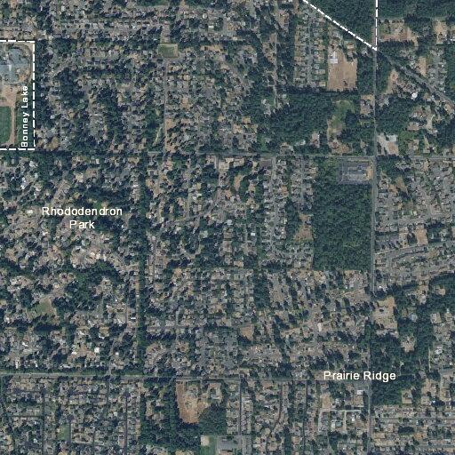 Possible suicidal woman near 208th Ave Ct E; firearm access unconfirmed