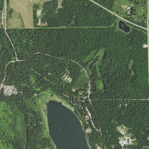 Young girl has seizures at Itasca State Park beach area