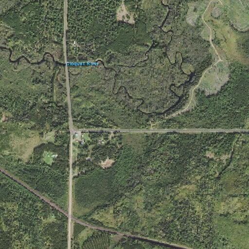 Man acting odd last seen walking eastbound on Rollins