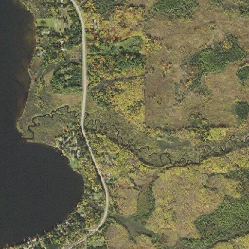 Female with autoimmune disease feeling unwell at cabin