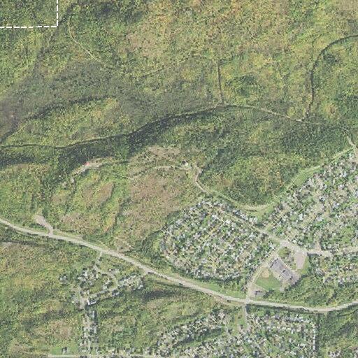 91-year-old female requests lift assist in Silver Bay