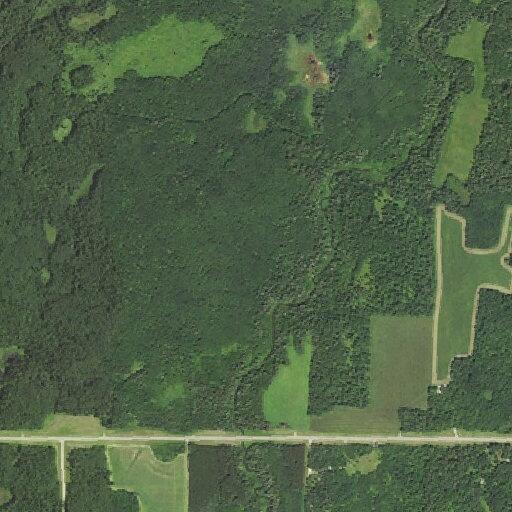 Controlled burn in woods near 210th Street