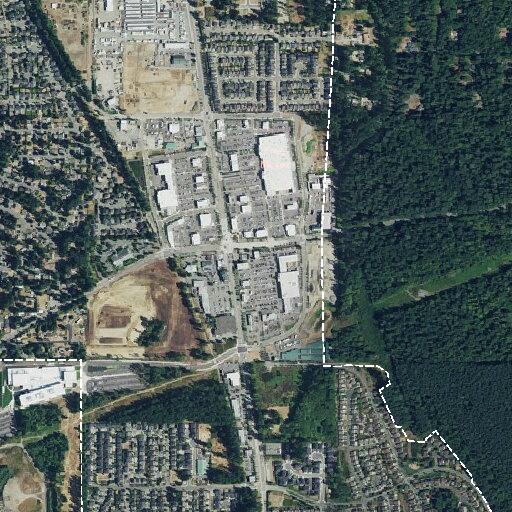 Person suffering allergic reaction in Maple Valley home