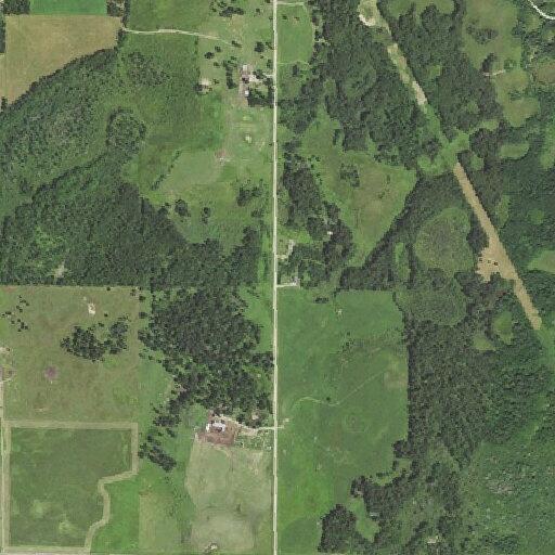 Loose cattle on road near Pioneer Road address