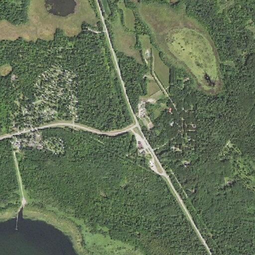 Woman falls, hits head, possibly breaks fingers