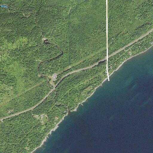 Rescue of a medium-sized male at Caribou Wayside
