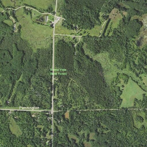 Female experiencing mental health issue near Cass Lake