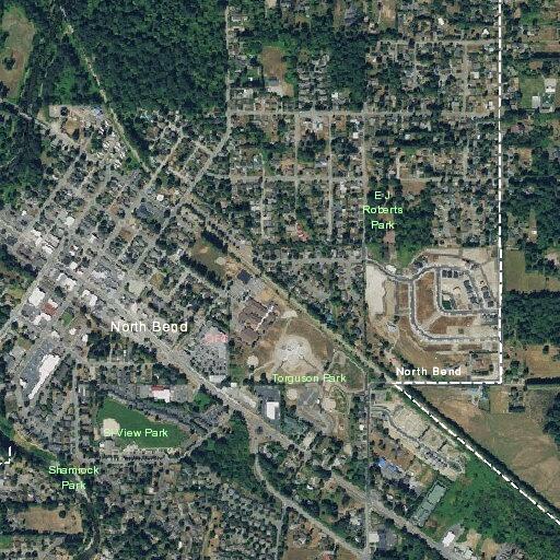 Reckless blue pickup reported on East North Bend Way
