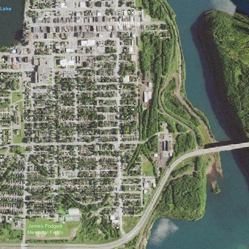 Trip hazard from tall grass at elderly woman's residence
