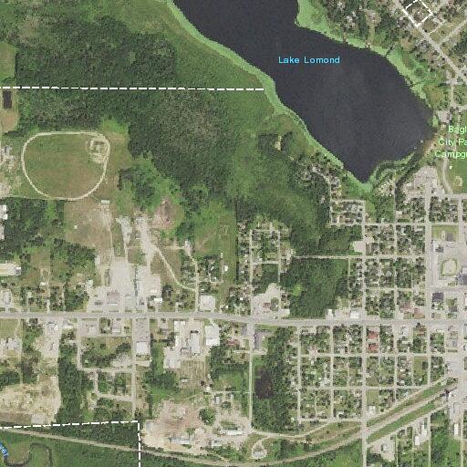 Dog attack and shooting threat near Oak Ave SW in Bagley