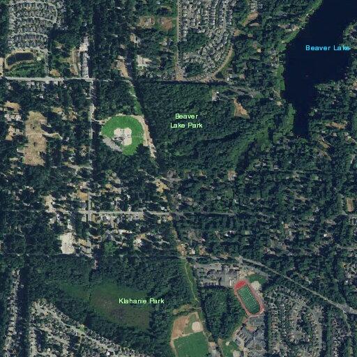 Man reported taking photos of children at park