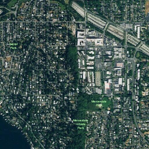 Verbal domestic dispute on Mercer Island