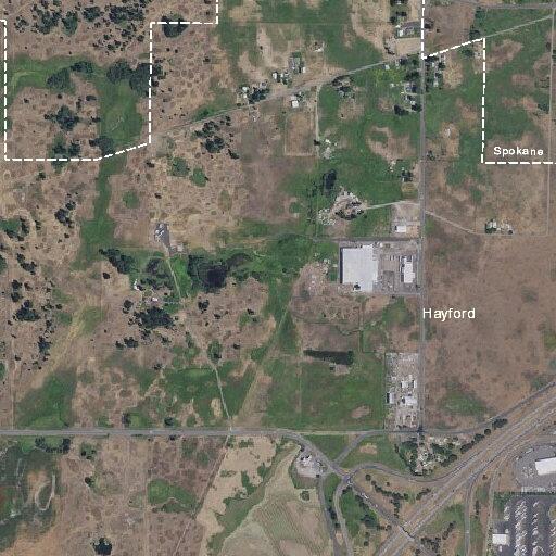 Medical emergency at Medical Lake Highway and Pendell Lane