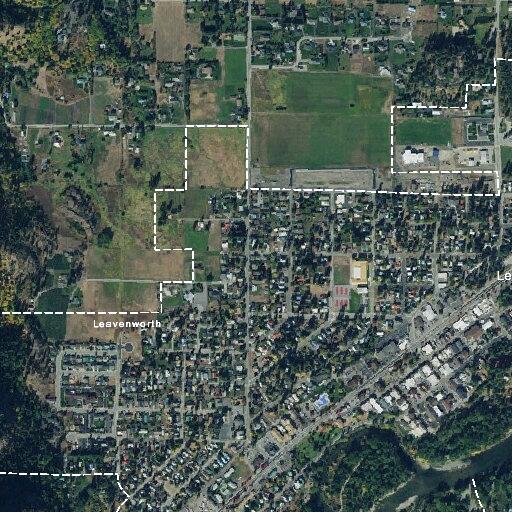 Person experiencing a stroke near Burt House Lane in Leavenworth