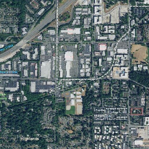 Woman stealing packages at Bellevue apartments