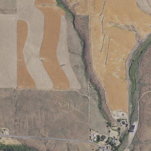 Shoreline fire reported near animal problem
