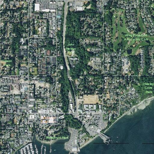 Report of gunshot at home near Olympic Dr SE