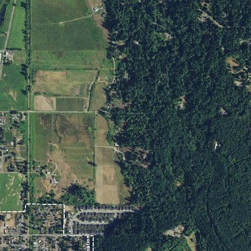 Suicidal subject reported at Carnation mobile home park