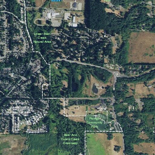 Juvenile located at picnic area in Redmond