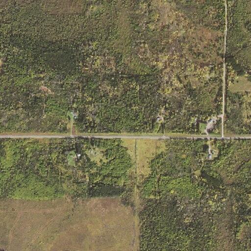 Car and deer crash on Highway 21 in Embarrass