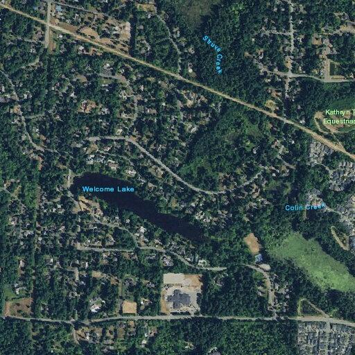 Illegal burn pile found at Woodinville residence