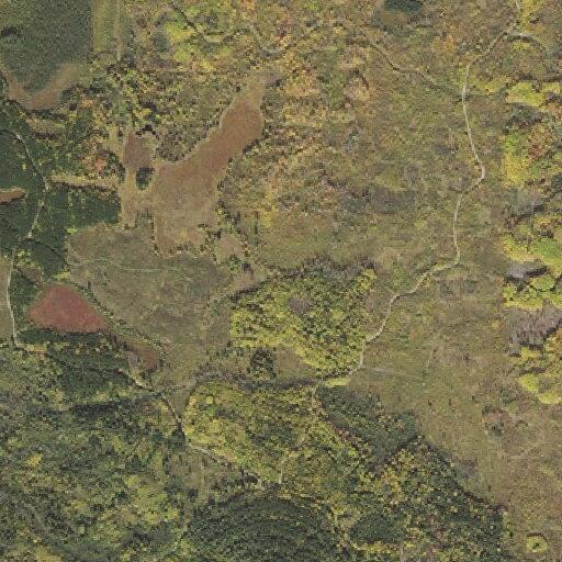 Rescuers respond to lost hikers near County Road 344