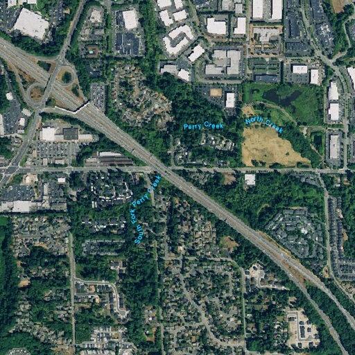 70-year-old woman vomiting blood in Bothell