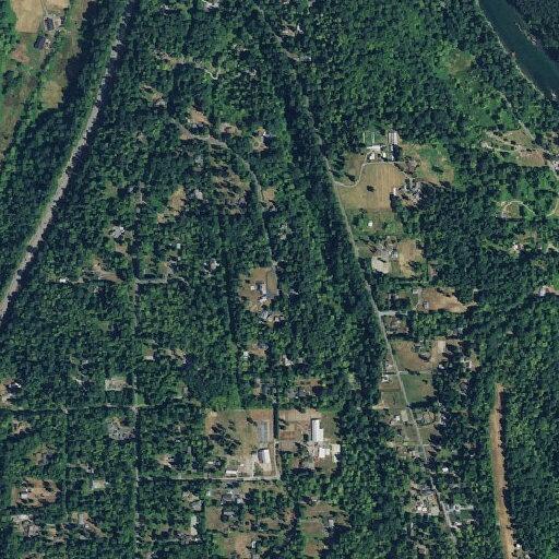 Tree blocking Welch Road near Snohomish area