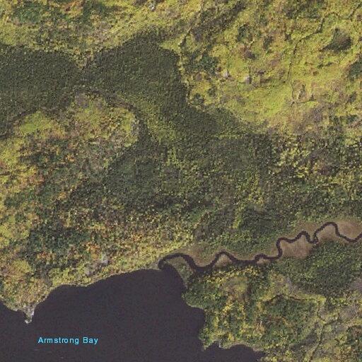 Male falls with possible hip injury at Stumps Bay boat landing