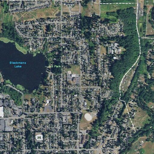 Basic life support provided near Madrona Lane