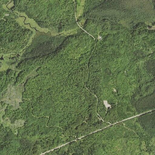 Cabin fire rekindles on Kennedy Road property