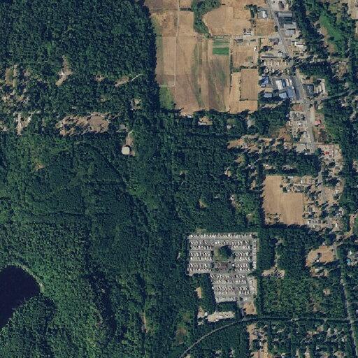 Eighty year old male falls without injury in Chimacum