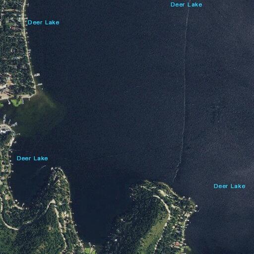 Trespassing complaint at Cedar Bay Road home