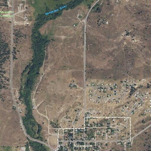 Unknown age female medical alert at Nespelem residence